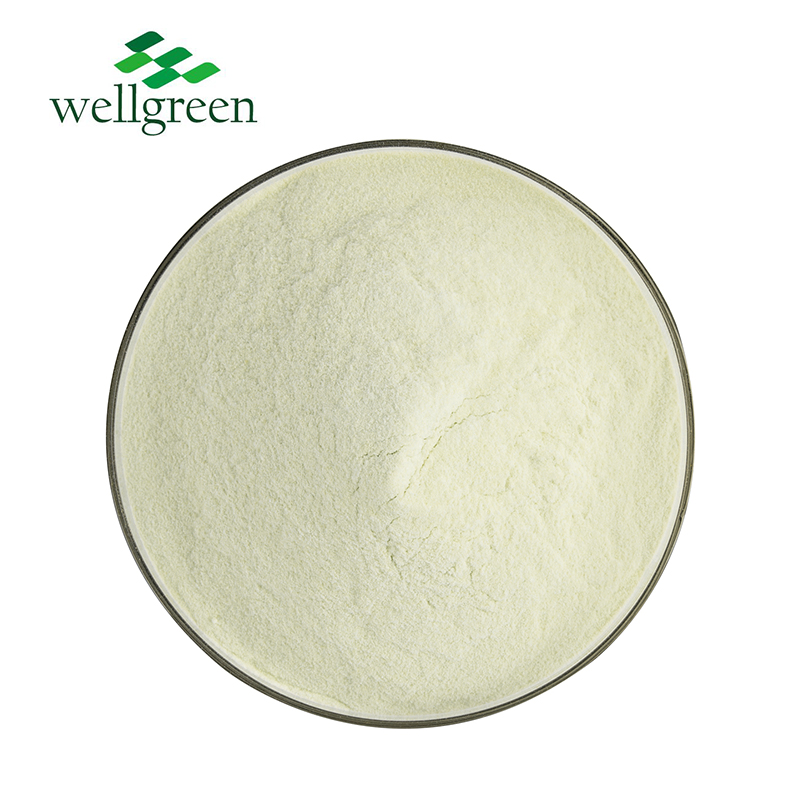 Hot Selling Plant Protein Mung Bean Protein Powder 90% Isolate Powder for Dietary Supplement