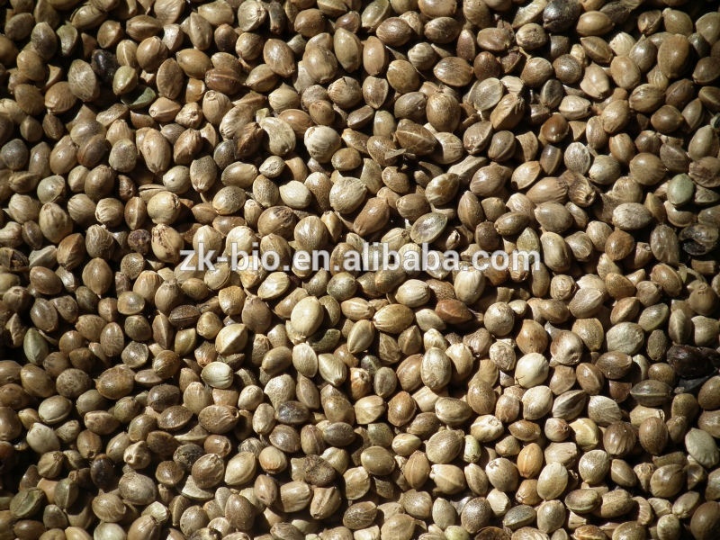 Supply Natural Hemp Seed Extract Superfoods Organic Hemp Protein Powder