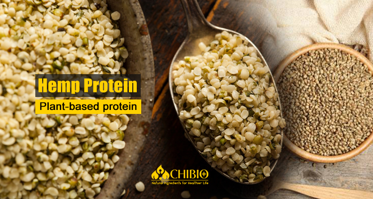 Hemp Protein Powder Amino Acids