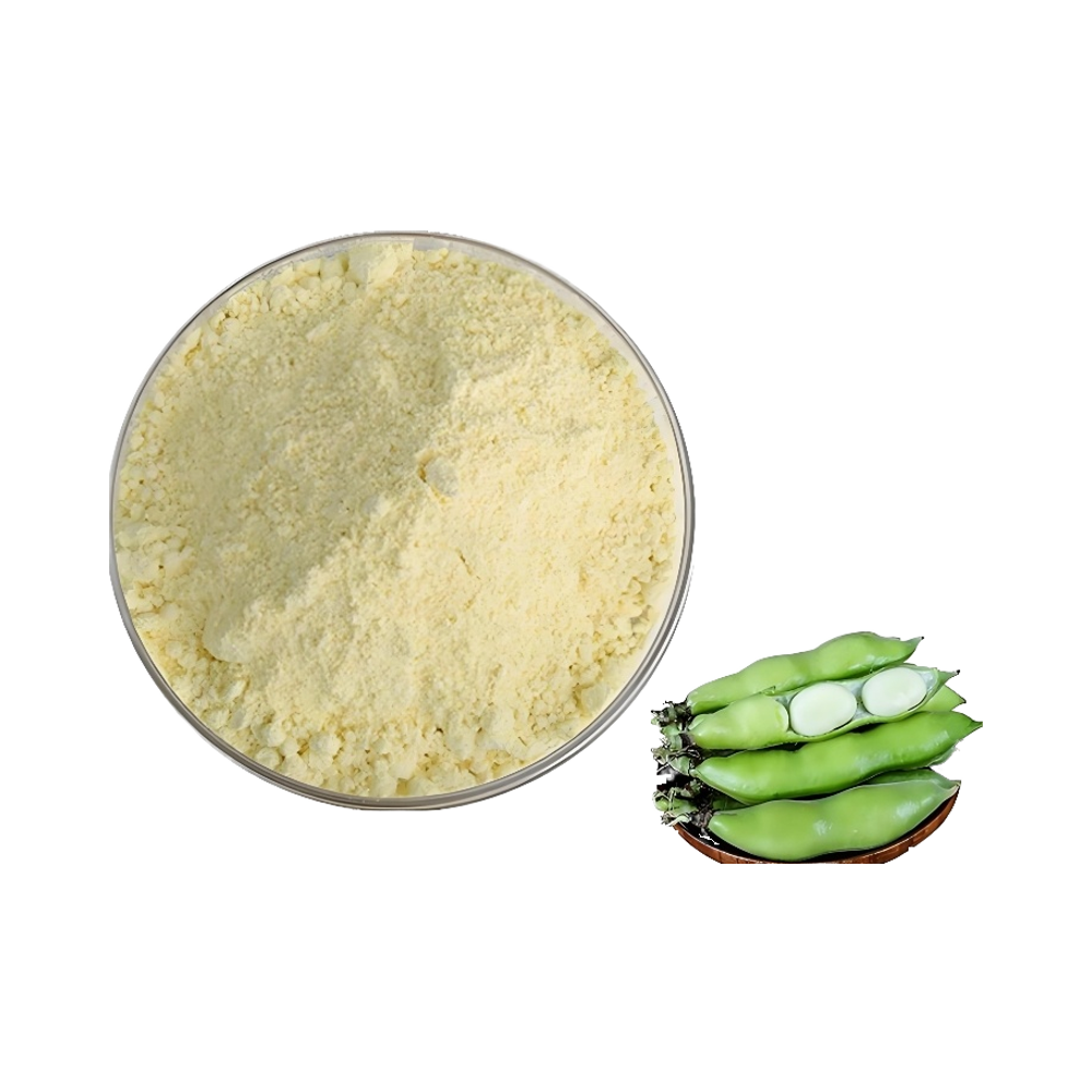 EU/USDA Organic Fava Bean Protein Powder High Quality Natural Health Benefit Plant Protein Supplement Food Additives