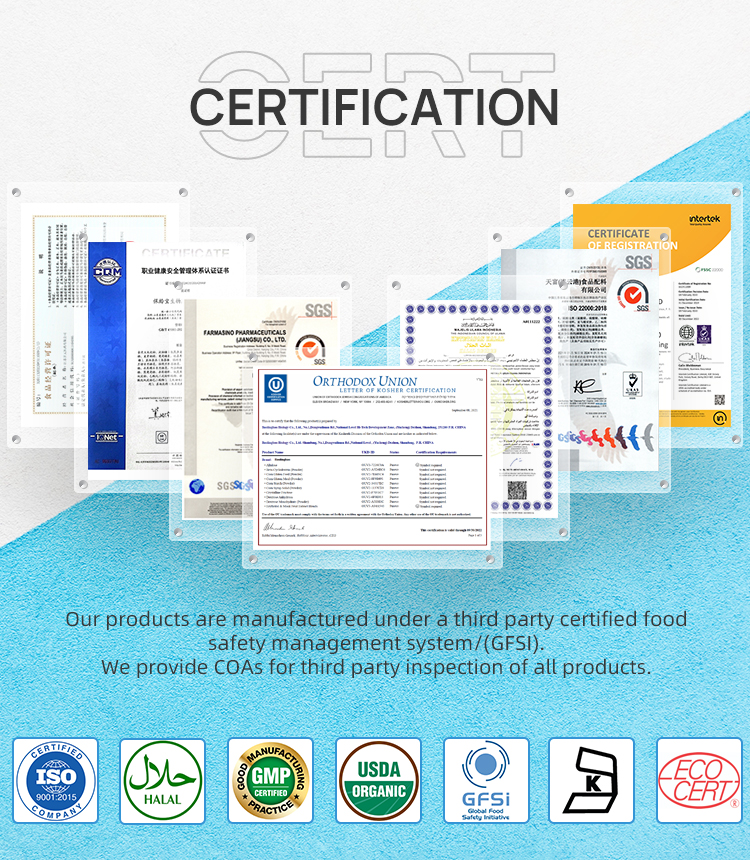 Certification 1