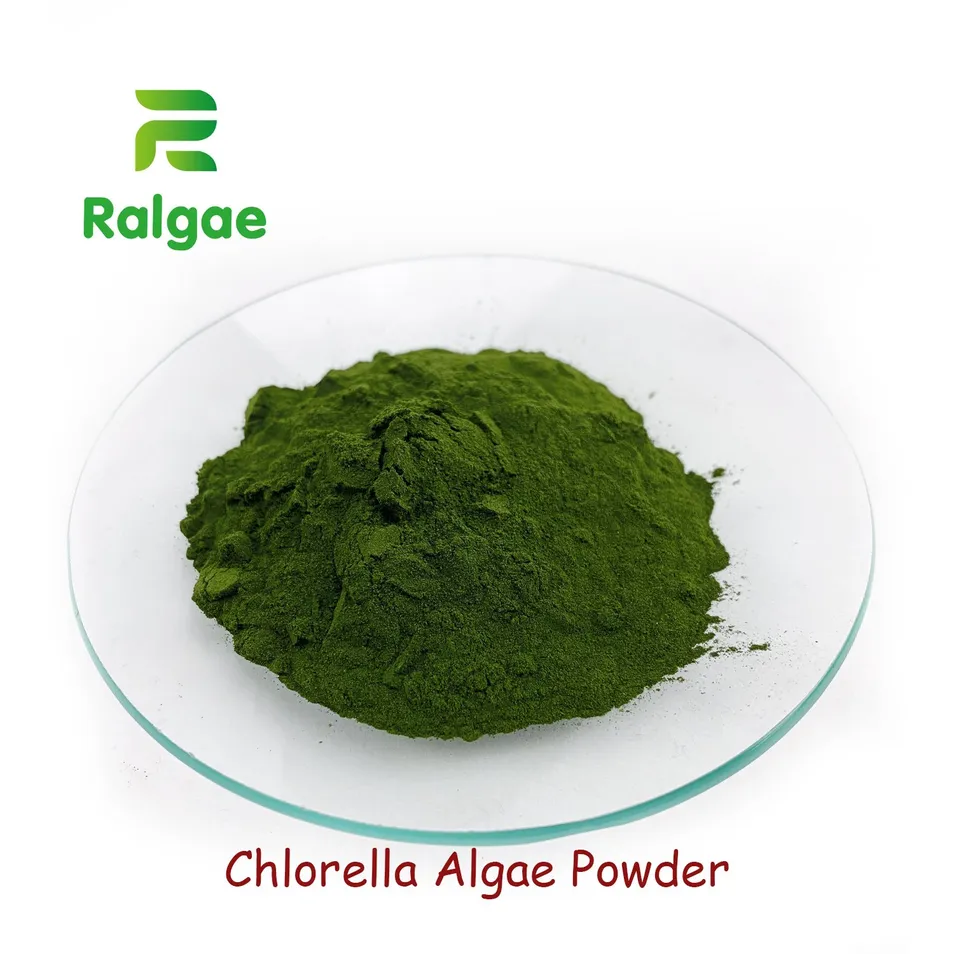 Foods Grade Chlorella Algae Powder High Protein for Nutrition Supplement