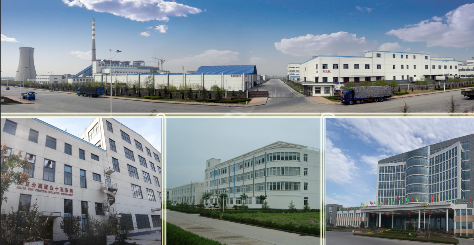 Company Overview Image