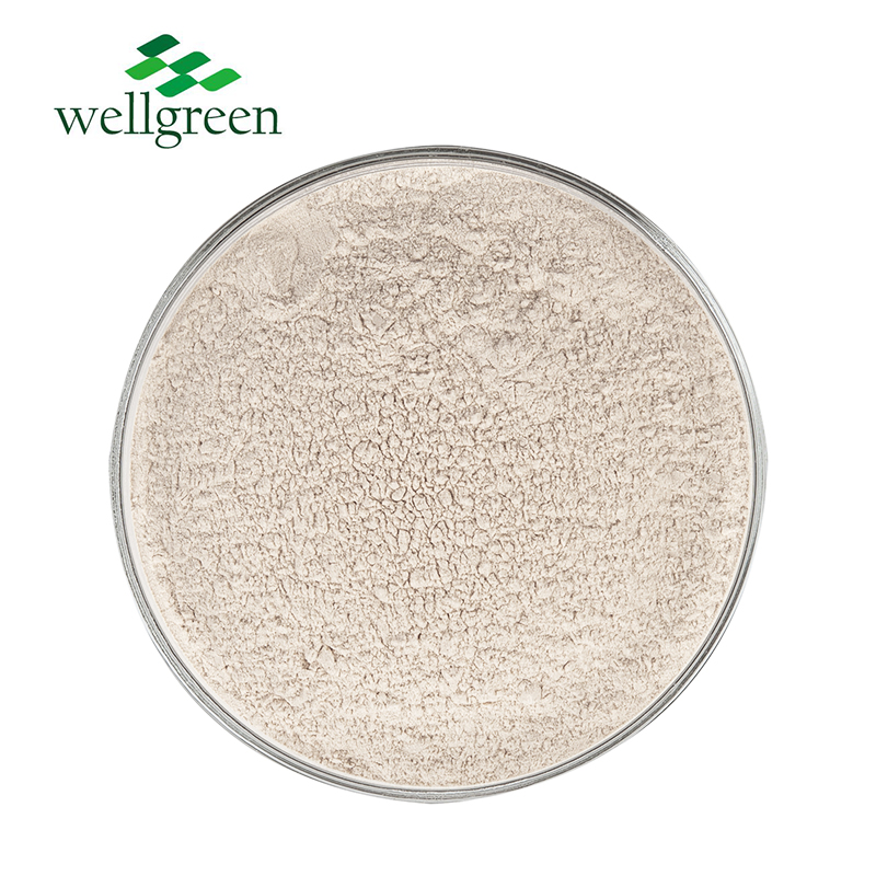 Natural Rice Protein 300Mesh Isolate Concentrate Food Grade Organic 80% 90% Brown Rice Protein Powder