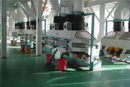 Hot Selling Canola Seed Oil Pressing Turnkey Project