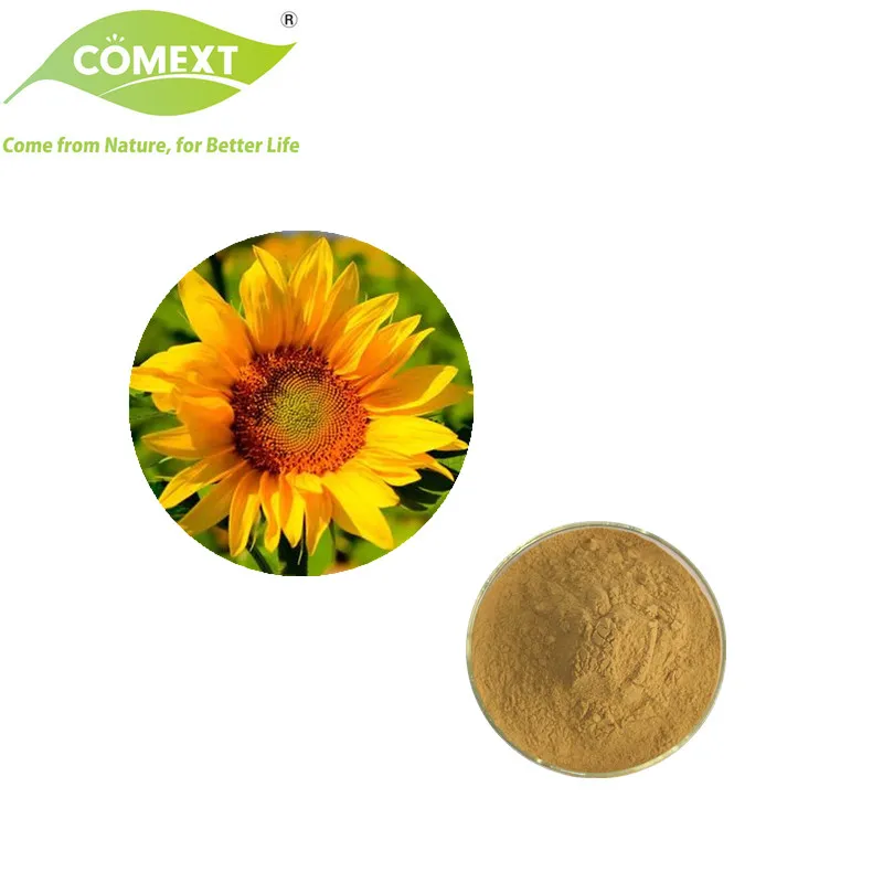 Free Samples Protein 55%-60% Cosmetics Health Products Sunflower Seed Protein Powder