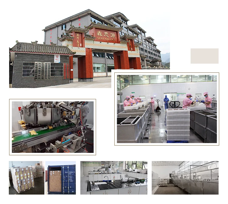 Manufacturing Facility