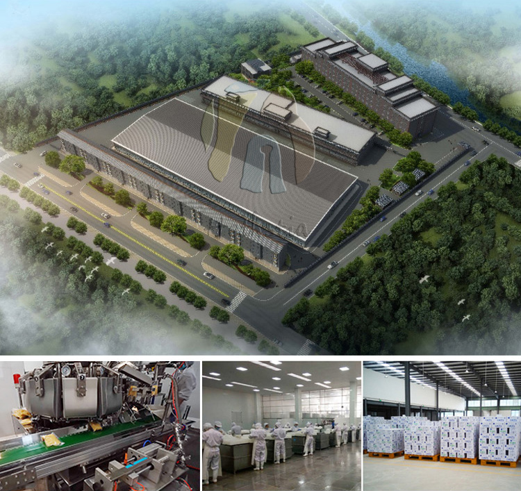 Factory Production Line