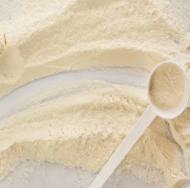 Soy Protein Detail 1