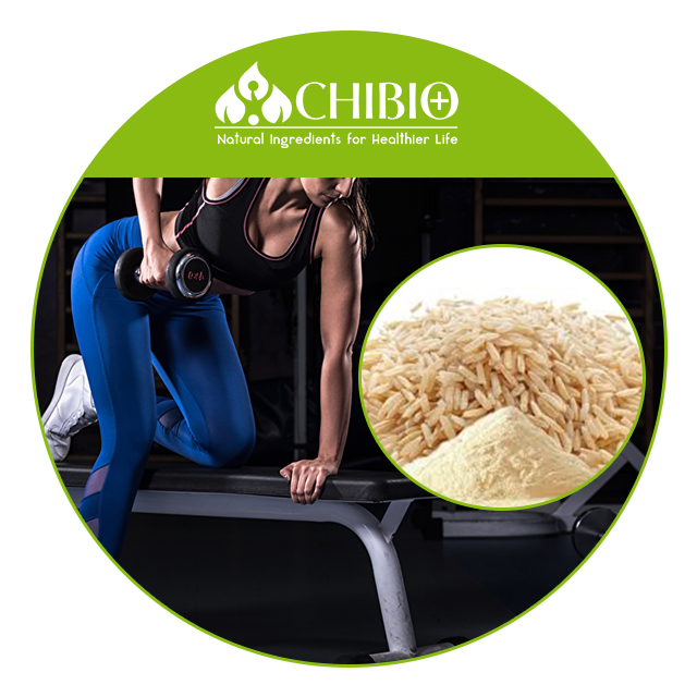 Best Selling Organic Brown Rice Protein 80% for Health Care Body Protecting