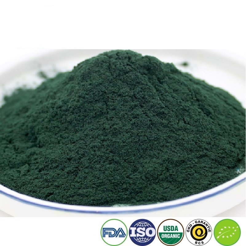 Spirulina Powder Supplier: High Protein Blue Green Algae Superfood