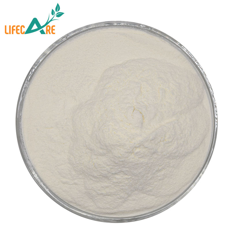 Lifecare Supply High Quality Food Grade Natural Potato Protein Powder
