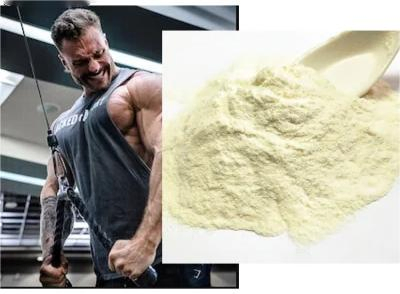 100% Pure Organic Body Fortress Whey Protein Powder for Muscle Gain
