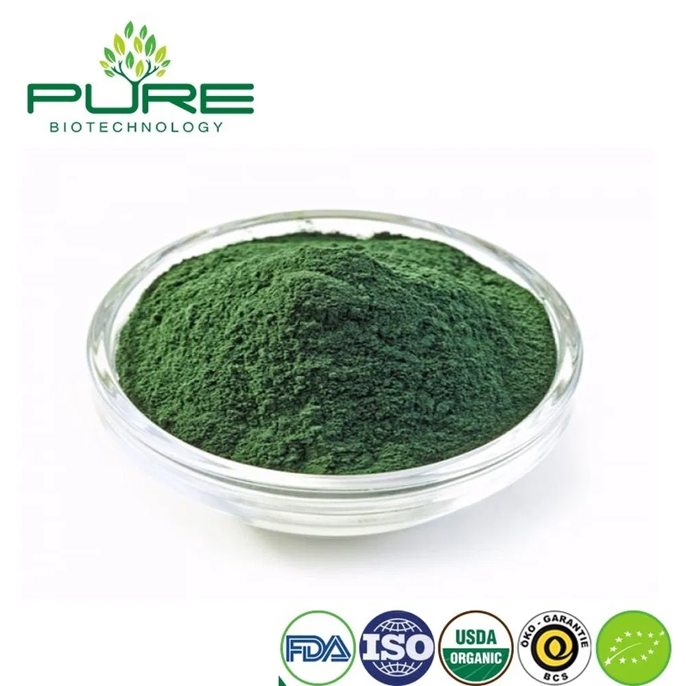 Sustainable Vegan Organic Blue Green Algae Protein Powder for Post-Exercise Shakes