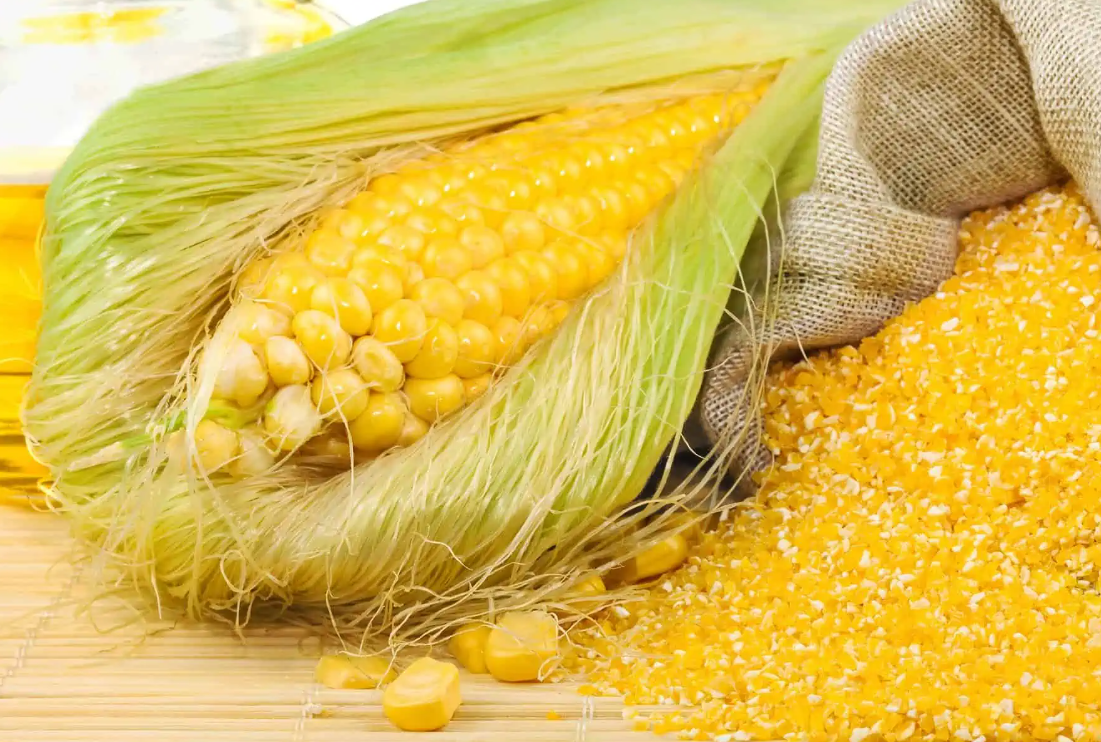 Corn Gluten Meal Detail 7