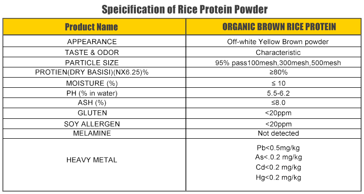 Protein Benefits