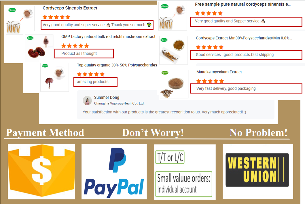 Food Free Samples Organic Vegan 80% Protein Powder Chickpeas Powder Aquafaba Powder for Cooking