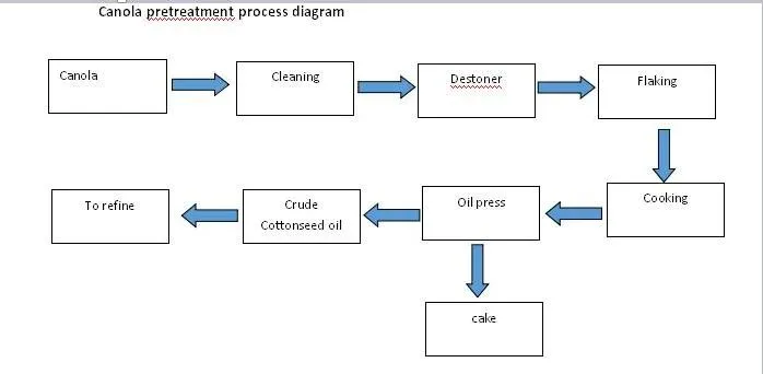 Canola Oil Processing Process