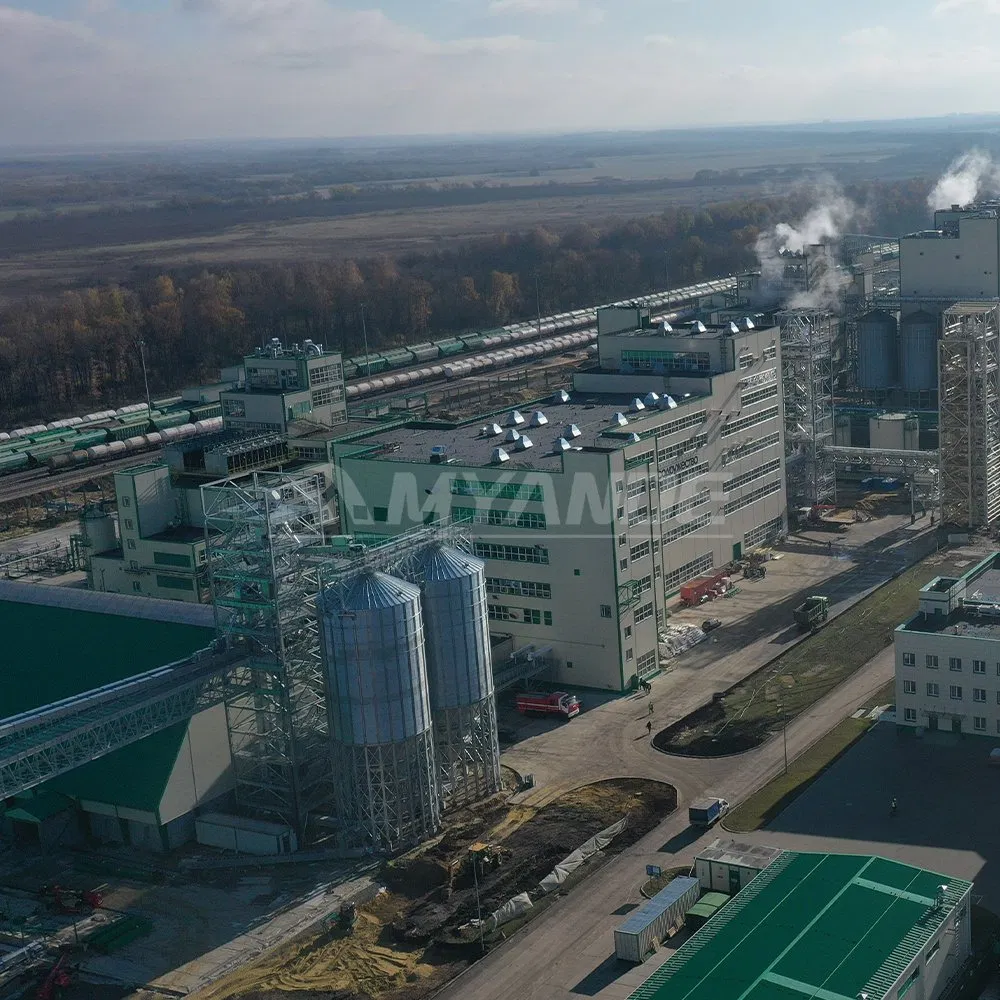 Oil Flaker, Cooking Oil Pretreatment Machine, Soybean, Canola, Peanut Oil Machine