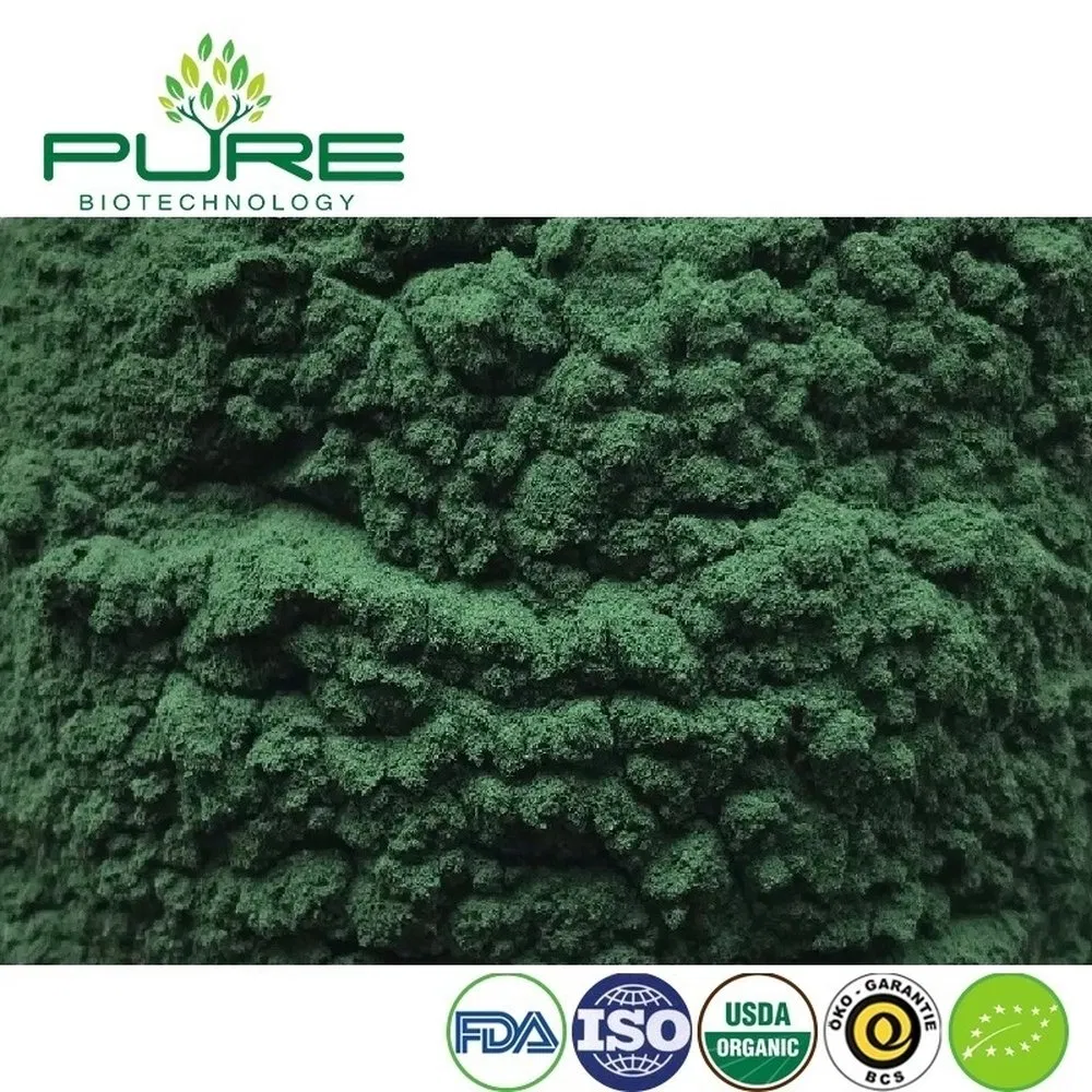 Organic Spirulina Protein Powder for Natural Energy Boost