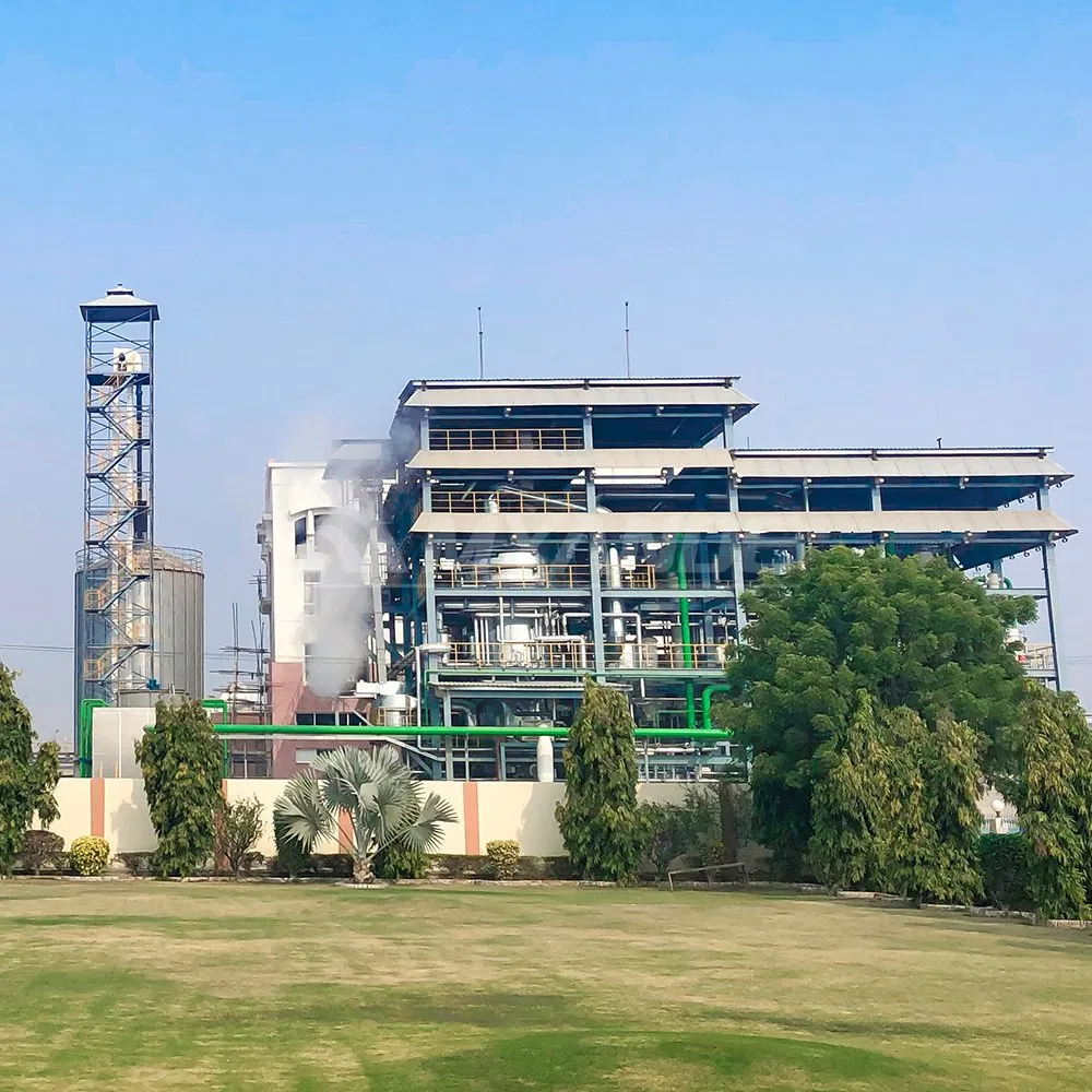 Cooking Oil Extraction Machine, Edible Oil Press Equipment, Oilseeds Soybean Rapeseed Sunflower Cotton Palm Rice Bran Corn Sesame Peanut Turnkey Plant Machine
