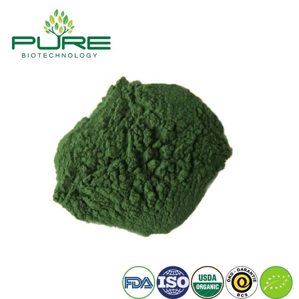 Premium Organic Spirulina Protein Powder for Green Smoothies
