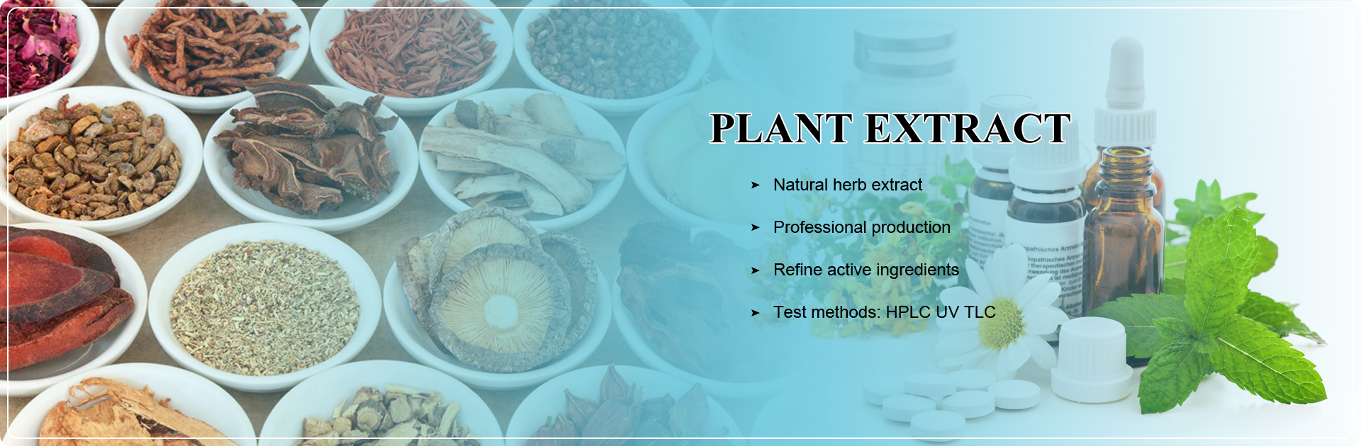 Pumpkin Seed Protein Powder Overview