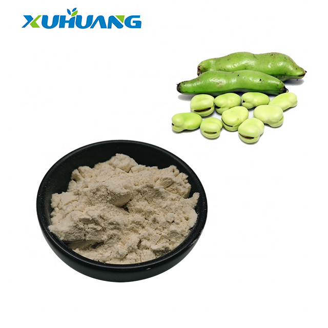 Fava Bean Protein