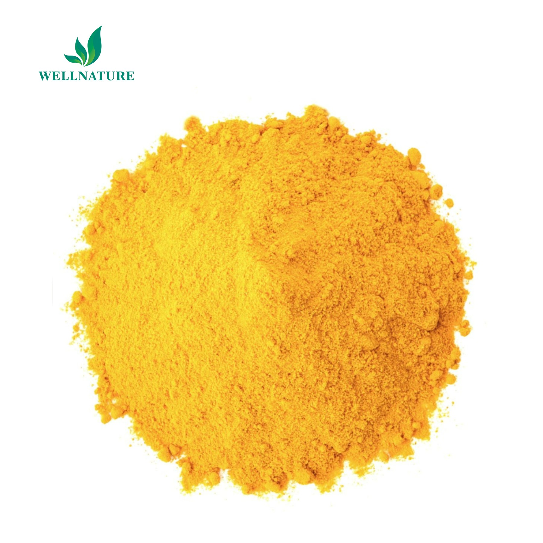 Factory Direct Sale High Quality Nature Pumpkin Seed Extract Protein Pumpkin Protein Powder