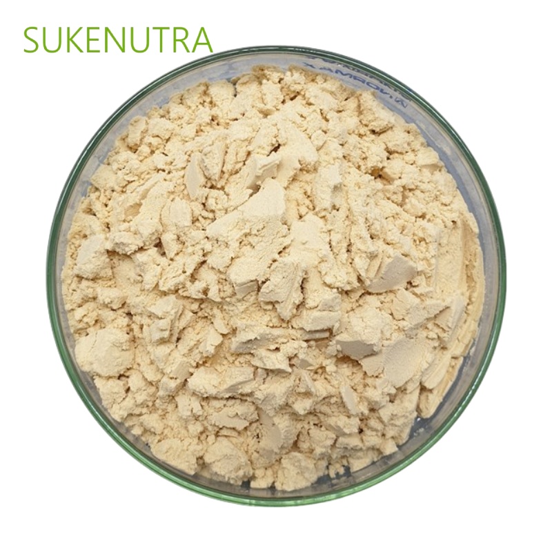 High Quality Soy Protein Isolate Powder
