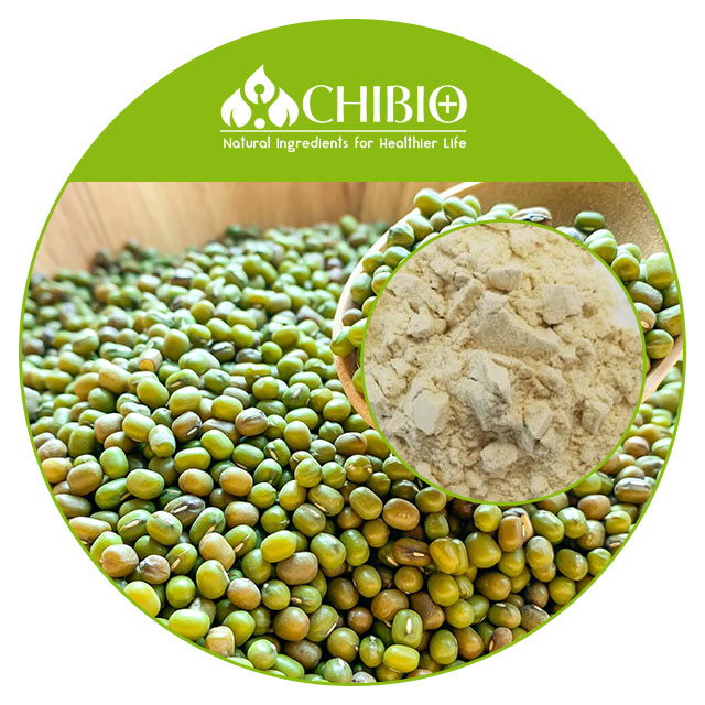 Mung Bean Protein Powder Vegan Protein Supplier's Organic Mung Bean Protein High Nutritional Value Bulk Powder Nutrition