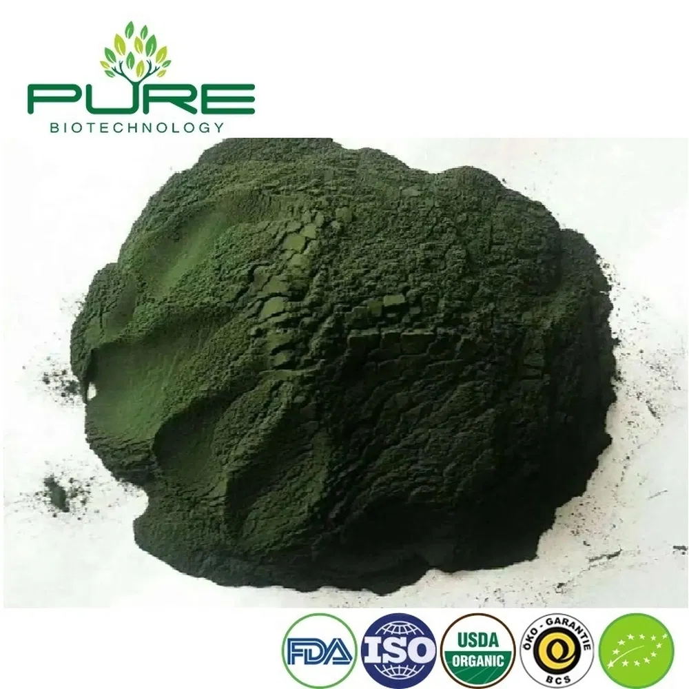 Pure Non-GMO Organic Spirulina Protein Alga Powder for Cardiovascular Support