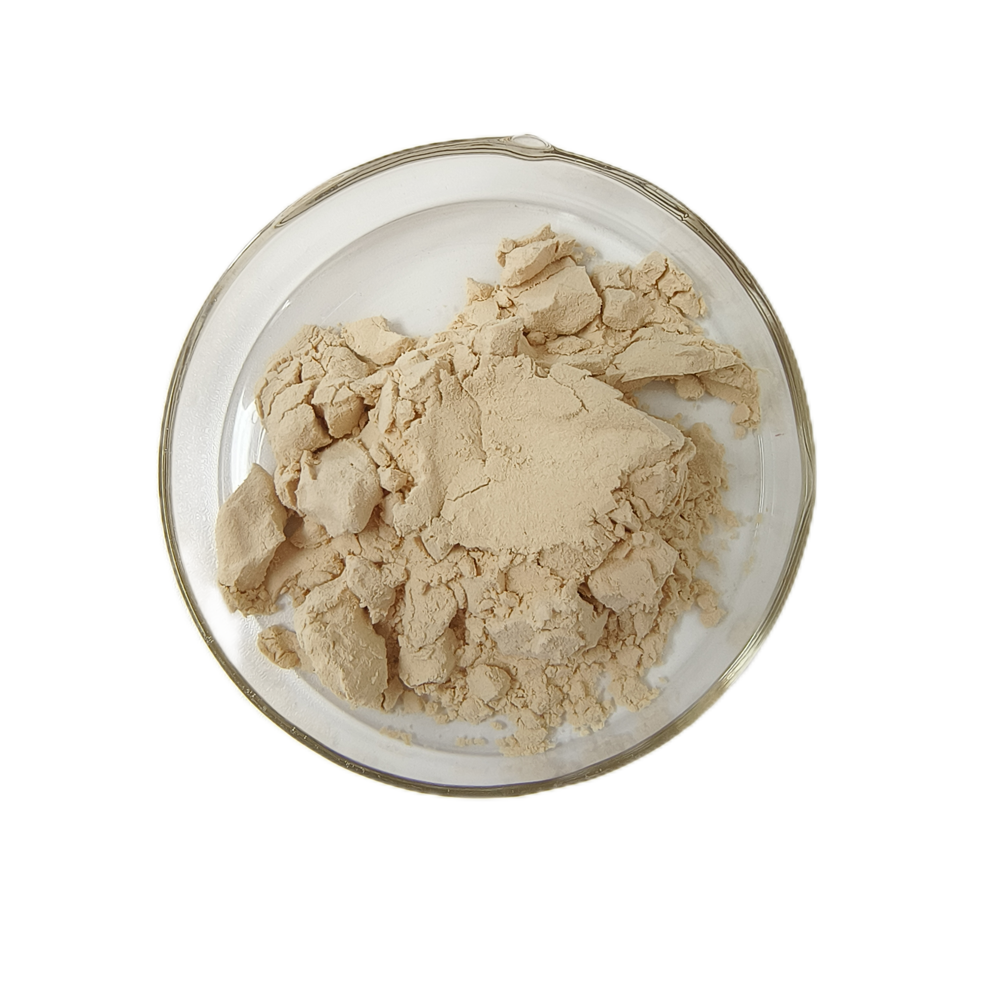 Factory Supply Chickpea Protein Isolate Powder for Food and Beverage