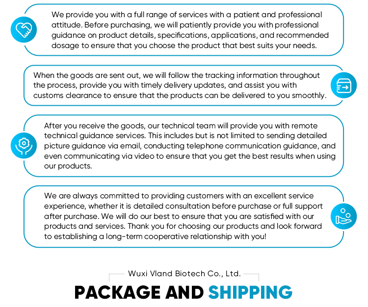 Our Services