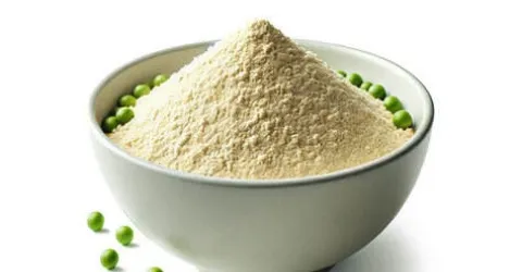 Organic Plant-Based Protein Powder