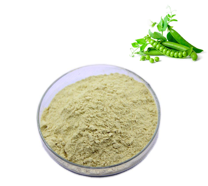 Organic pea protein powder