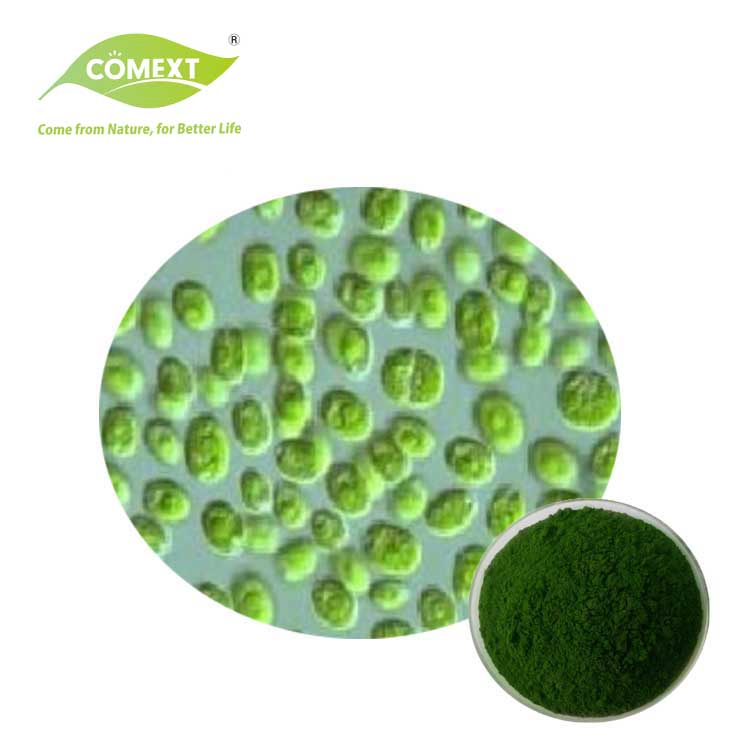 Comext Halal Kosher Manufacturer Edible Blue Green Algae Spirulina Powder with Protein, Vitamins, Minerals, Carotenoids and Antioxidants