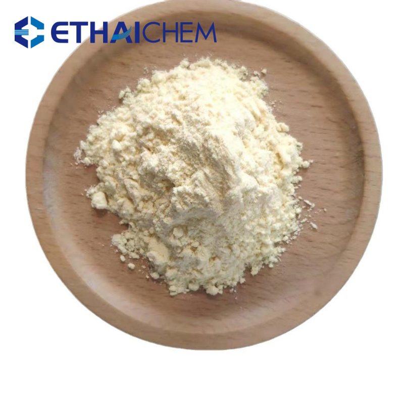 Organic Plant-Based Protein Powder