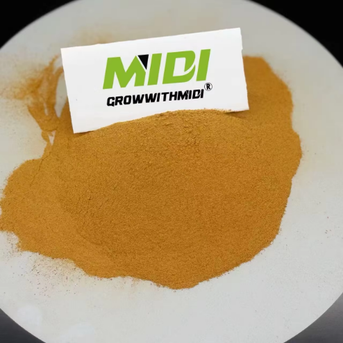 Aquatic Feed Corn Fermented Protein 42% 100% Water Soluble Feed Grade Amino Acids for Fish & Shrimp