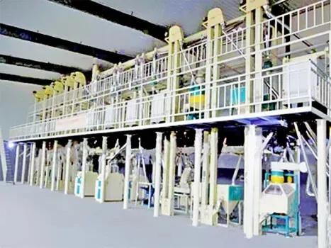 Corn Processing Line Case 6