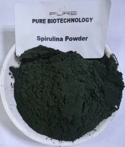 Spirulina Powder Supplier: High Protein Blue Green Algae Superfood