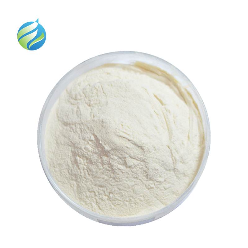 Wholesale Price Powder Isolated Soy Protein 90% Bulk Food Soy Protein Isolate