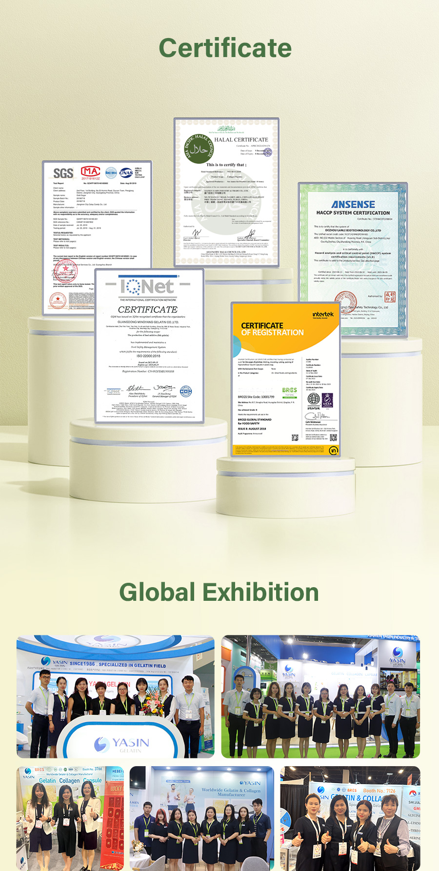 Packaging Display