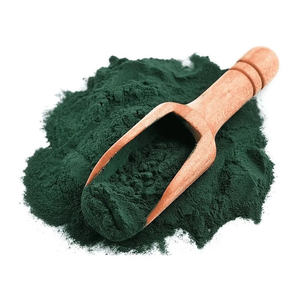 Sustainable Vegan Organic Blue Green Algae Protein Powder for Post-Exercise Shakes