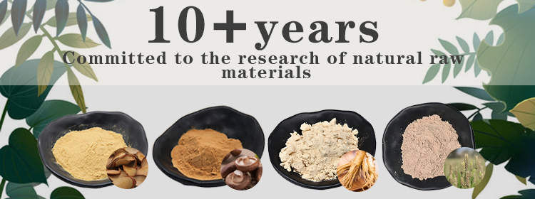 Bulk Concentrated Soy Protein Banner 1