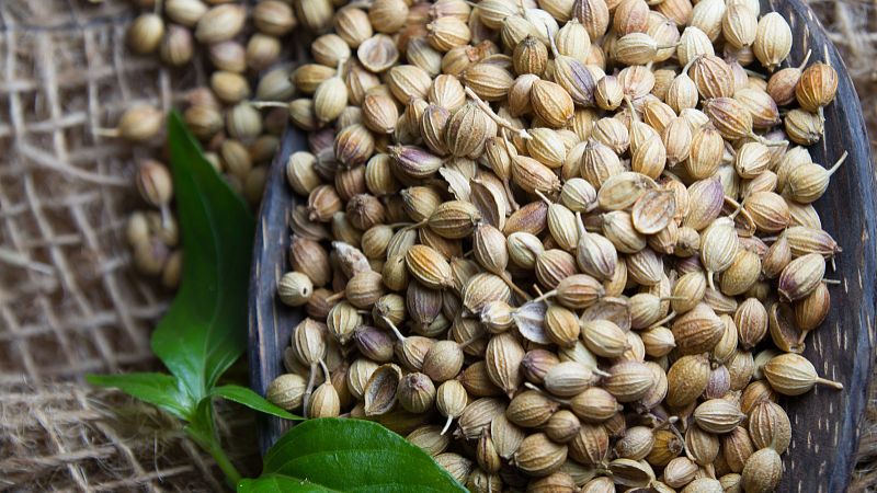 Hemp Protein Powder Raw Material