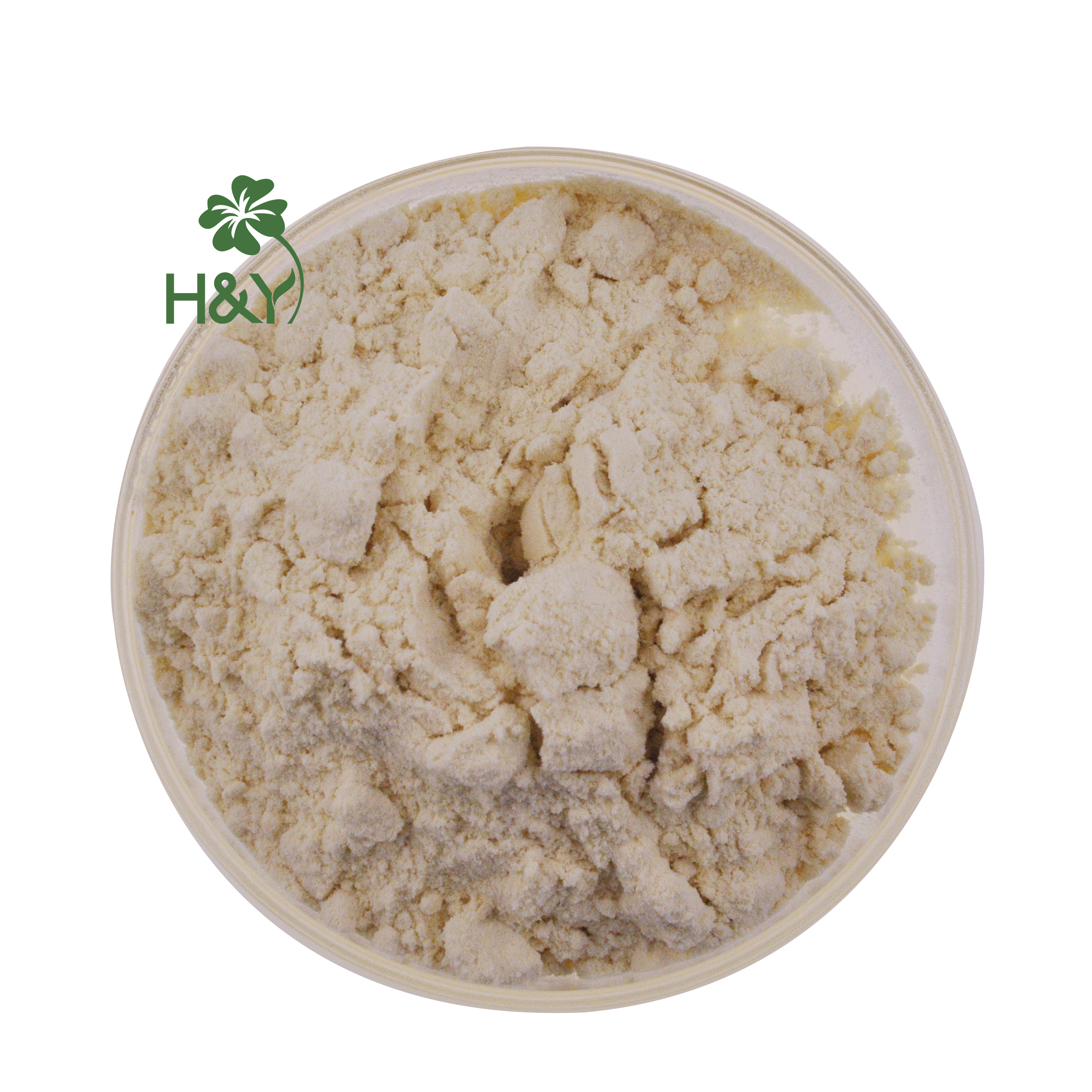 Heathway Supply High Quality Mung Bean Protein Isolate Powder Organic