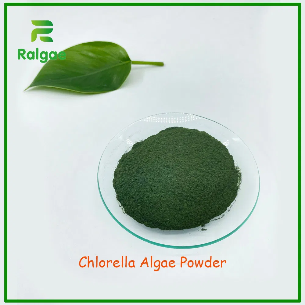 Foods Grade Chlorella Algae Powder High Protein for Nutrition Supplement