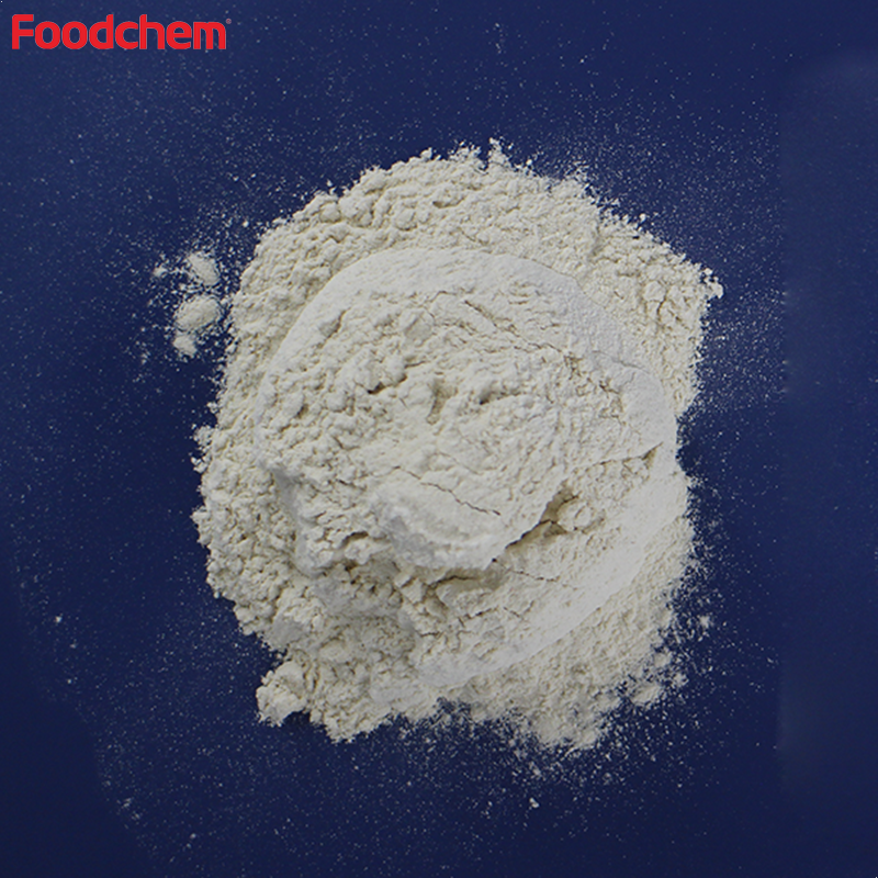 Soy Protein Isolated Free Sample