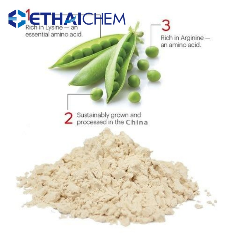 Organic Plant-Based Protein Powder